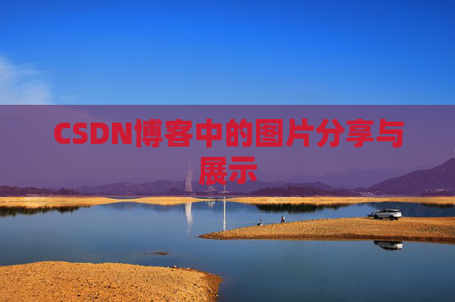 CSDN博客中的图片分享与展示